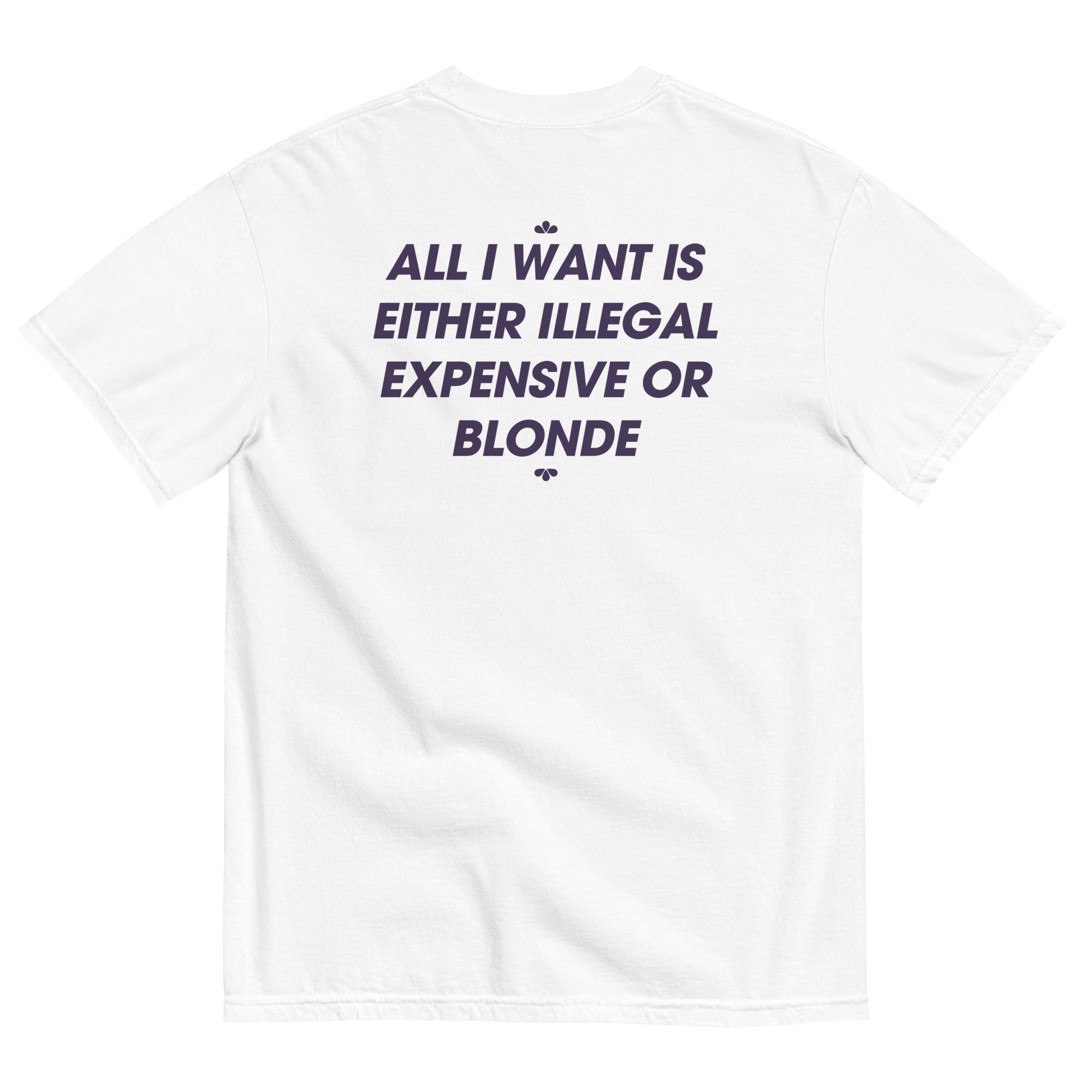 White unisex T-shirt with black text reading All I Want Is Illegal, Expensive or Blonde on the back.